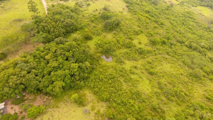 Terreno de 10 ha em Santo Antônio da Patrulha, RS