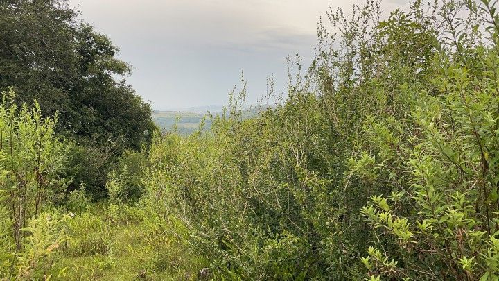 Terreno de 10 ha em Santo Antônio da Patrulha, RS