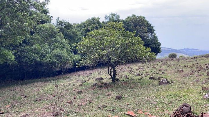 Terreno de 10 ha em Santo Antônio da Patrulha, RS