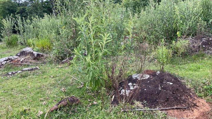 Terreno de 10 ha em Santo Antônio da Patrulha, RS