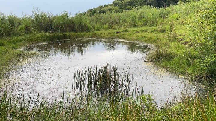 Terreno de 10 ha em Santo Antônio da Patrulha, RS