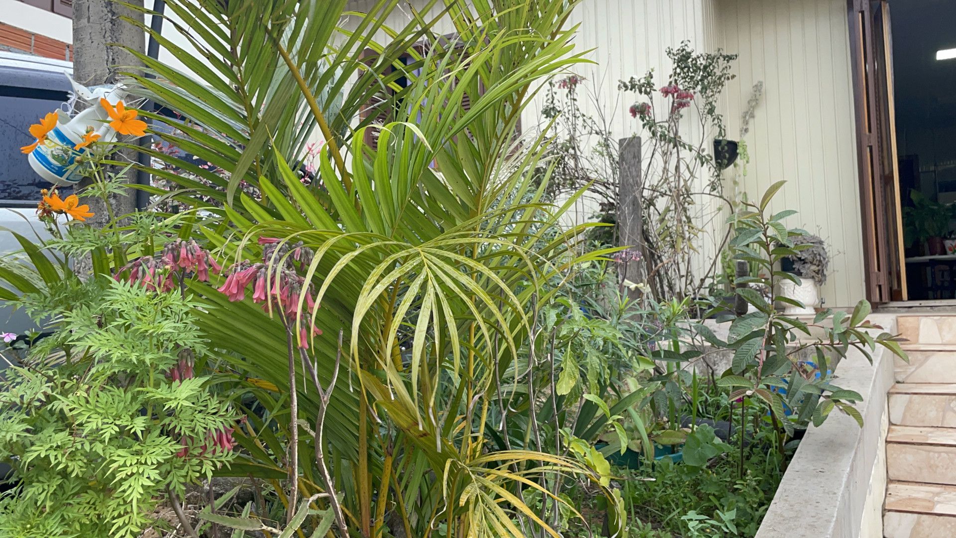 Terreno de 800 m² em Santo Antônio da Patrulha, RS