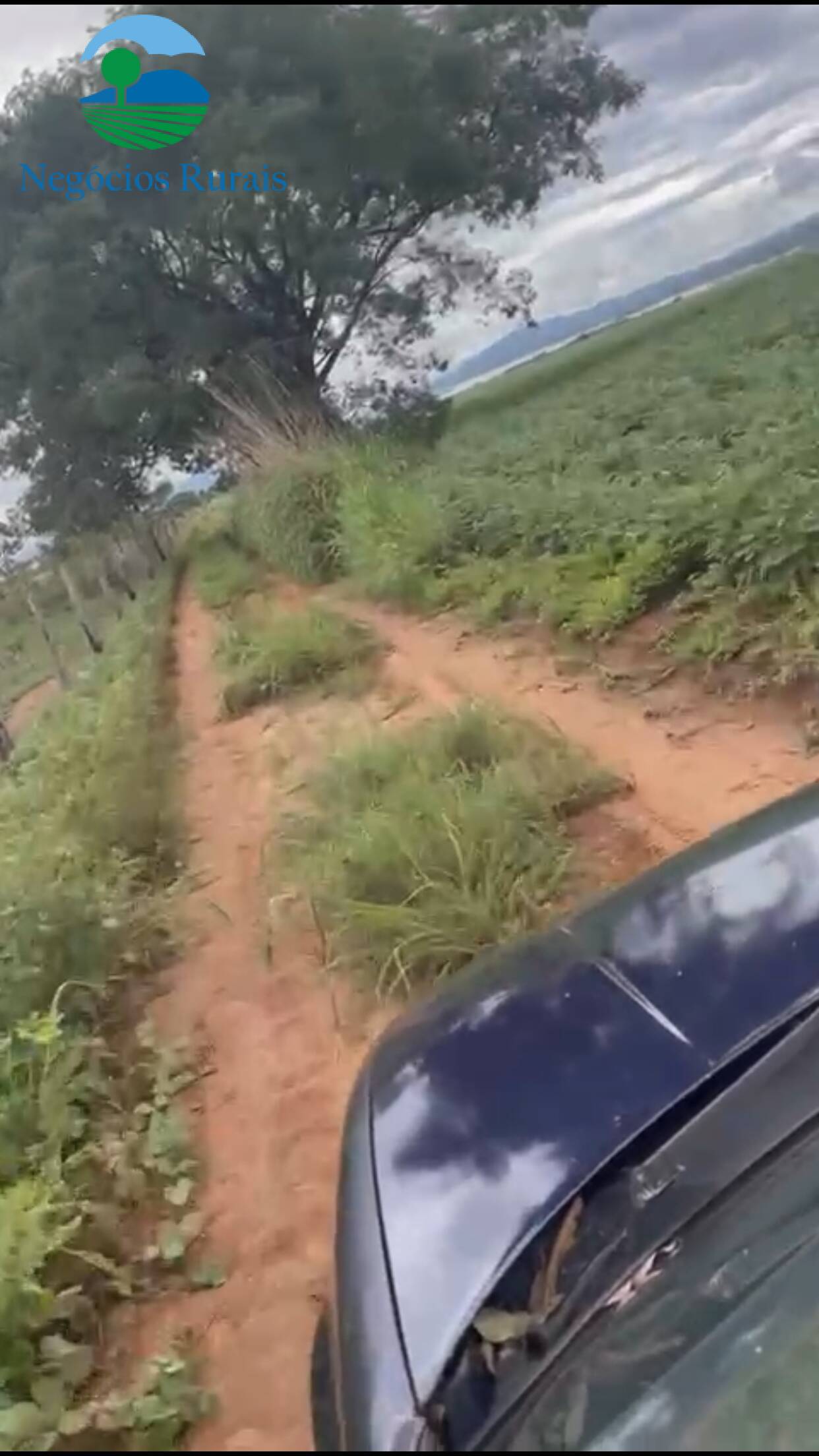 Fazenda de 16 ha em Uruaçu, GO