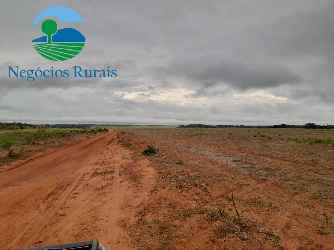 Fazenda de 1.665 ha em Palmeirante, TO