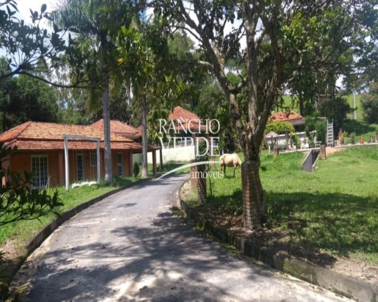 Fazenda de 322 ha em Guaratinguetá, SP