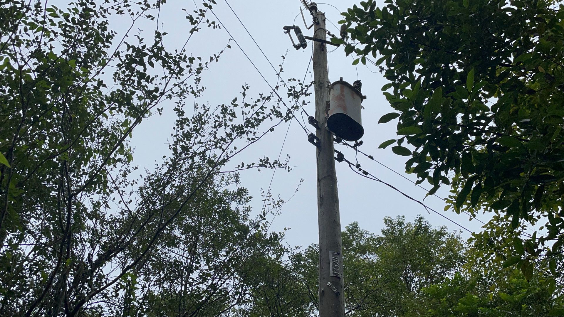 Sítio de 7 ha em Santo Antônio da Patrulha, RS