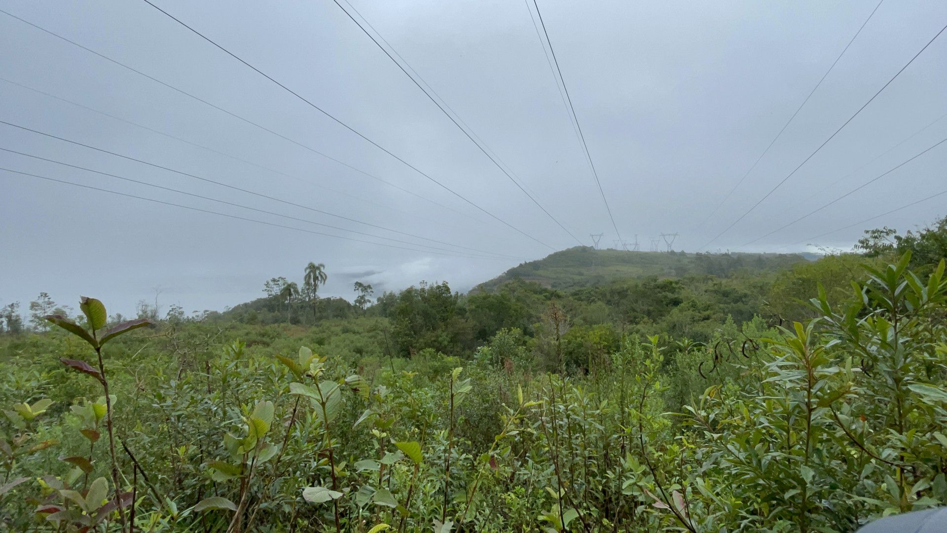 Sítio de 7 ha em Santo Antônio da Patrulha, RS