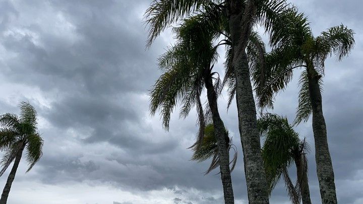 Chácara de 6 ha em Taquara, RS