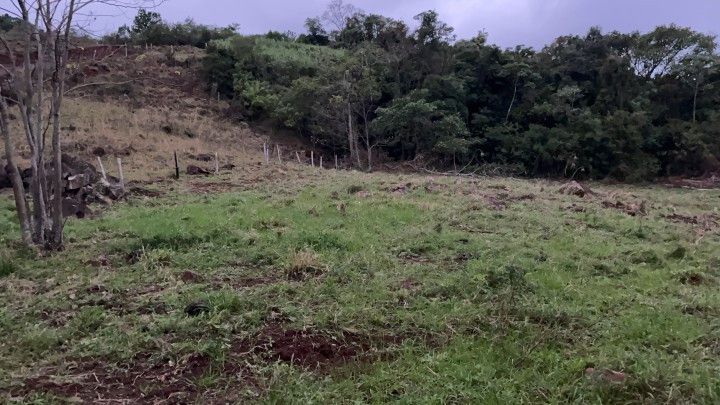 Chácara de 1 ha em Santo Antônio da Patrulha, RS