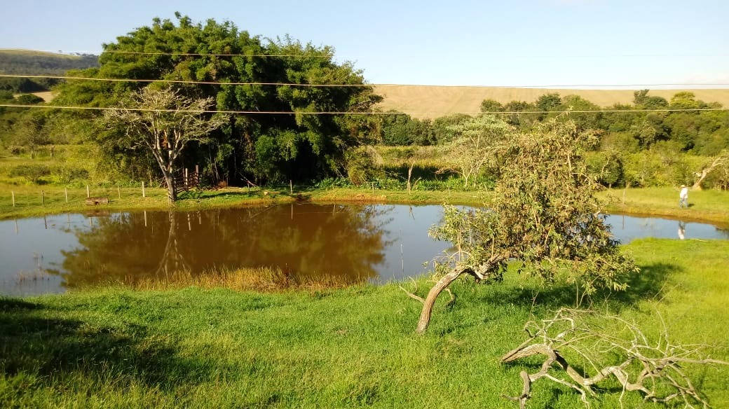 Fazenda de 121 ha em Cambuquira, MG