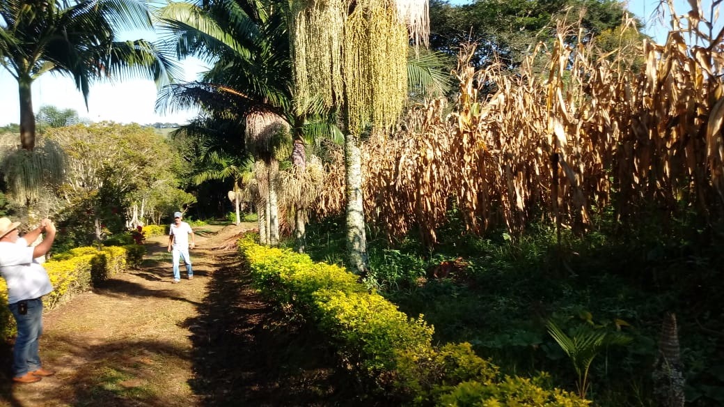 Fazenda de 121 ha em Cambuquira, MG