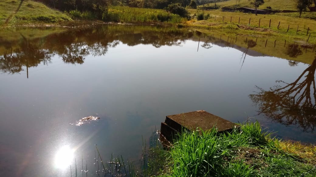 Fazenda de 121 ha em Cambuquira, MG