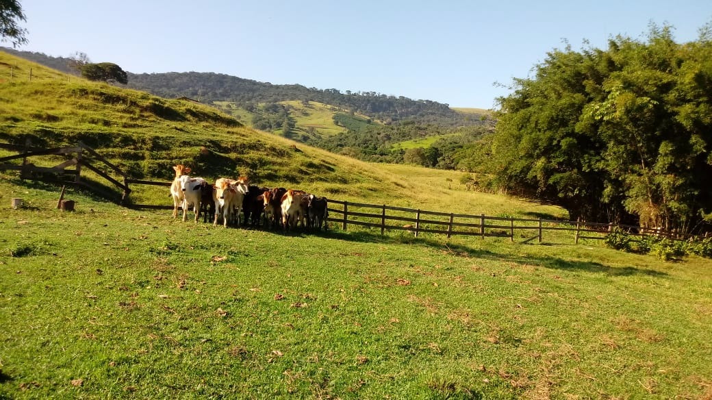 Fazenda de 121 ha em Cambuquira, MG