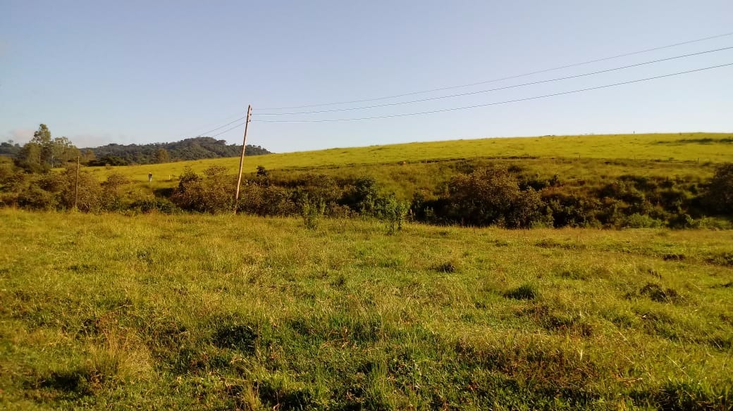 Fazenda de 121 ha em Cambuquira, MG