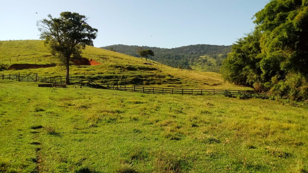 Fazenda de 121 ha em Cambuquira, MG