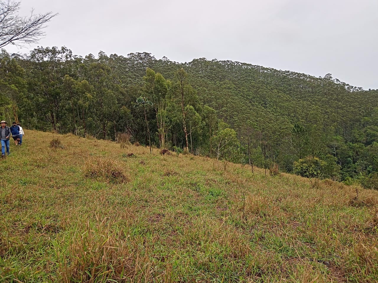 Terreno de 7 ha em São José dos Campos, SP