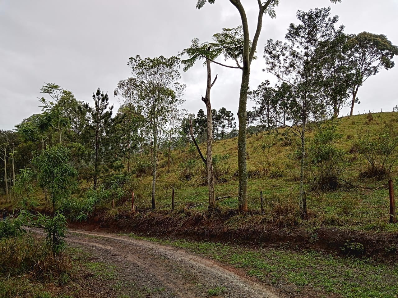 Terreno de 7 ha em São José dos Campos, SP