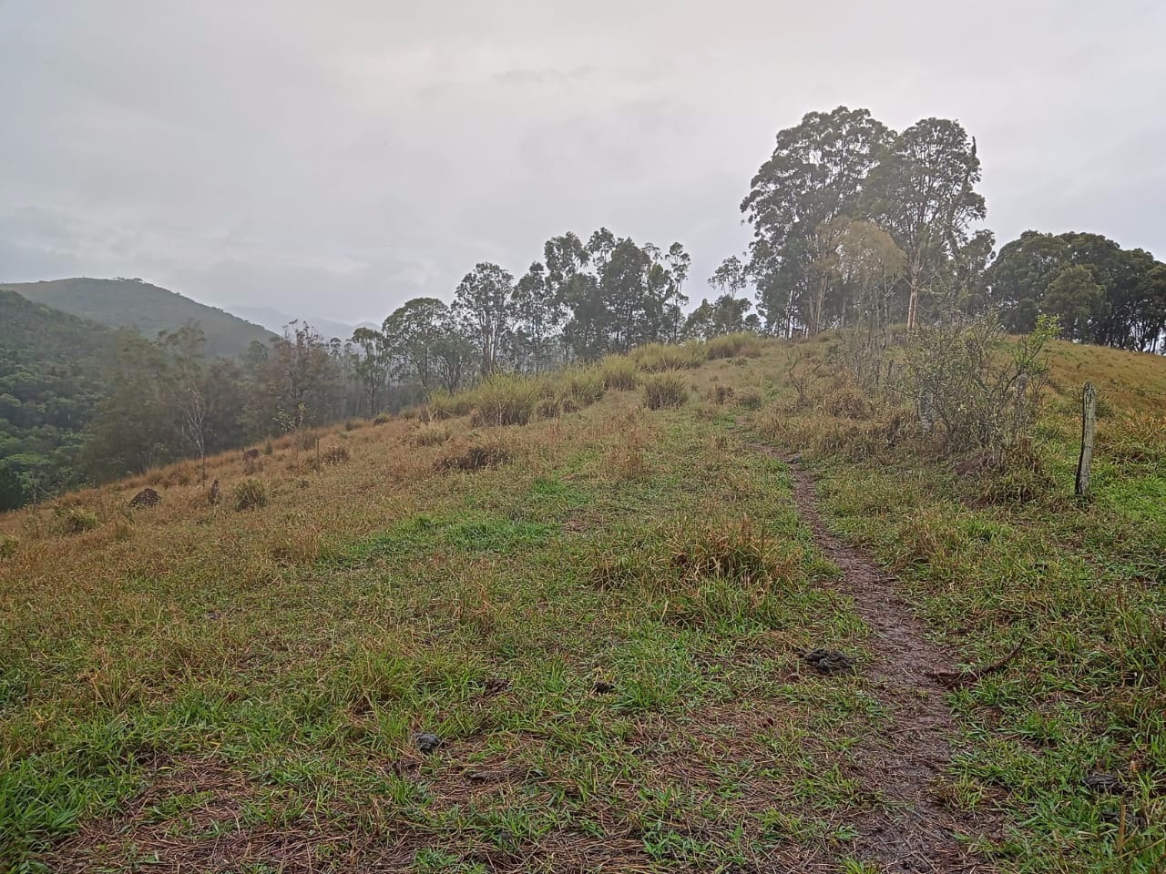 Terreno de 7 ha em São José dos Campos, SP