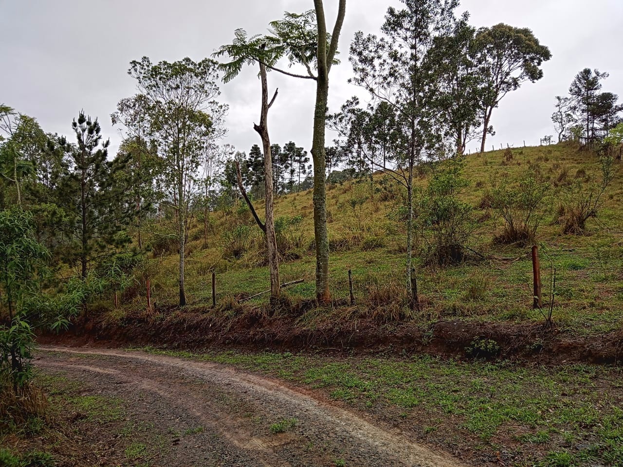 Terreno de 7 ha em São José dos Campos, SP