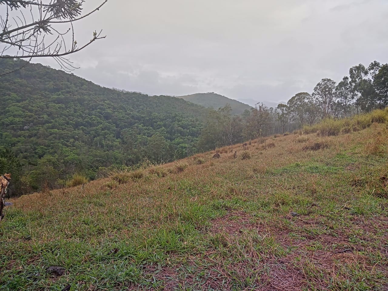 Terreno de 7 ha em São José dos Campos, SP