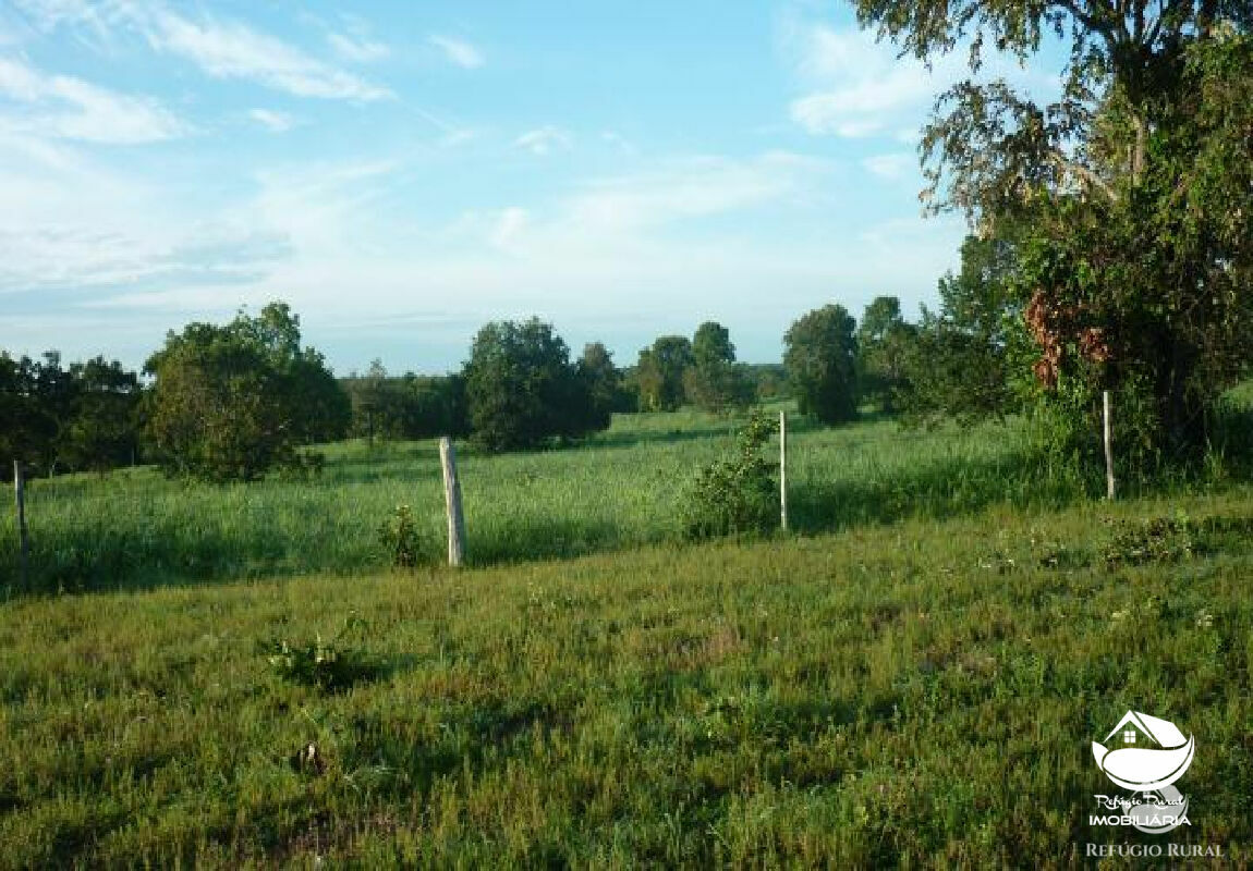 Fazenda de 515 ha em Alvorada, TO