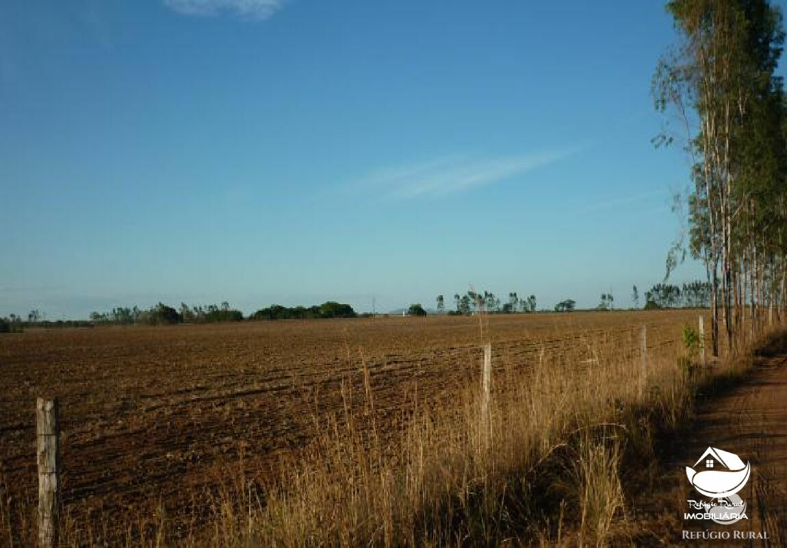 Fazenda de 515 ha em Alvorada, TO