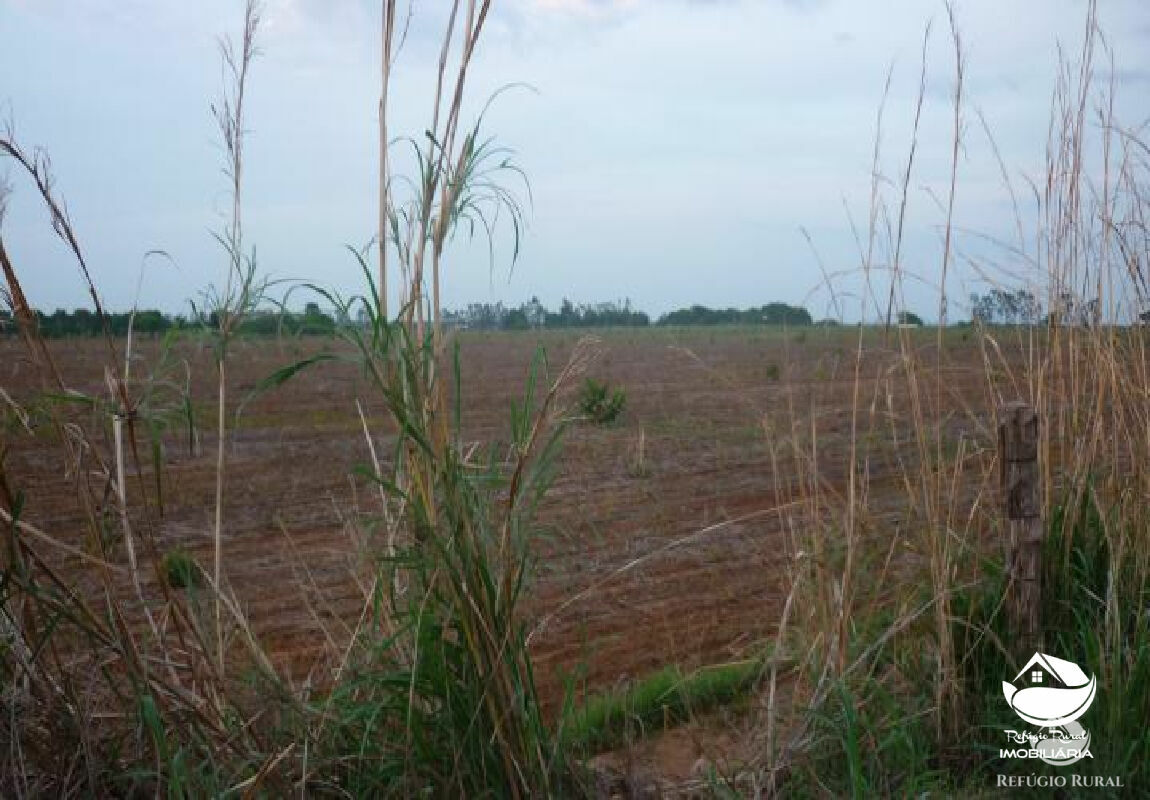 Fazenda de 515 ha em Alvorada, TO