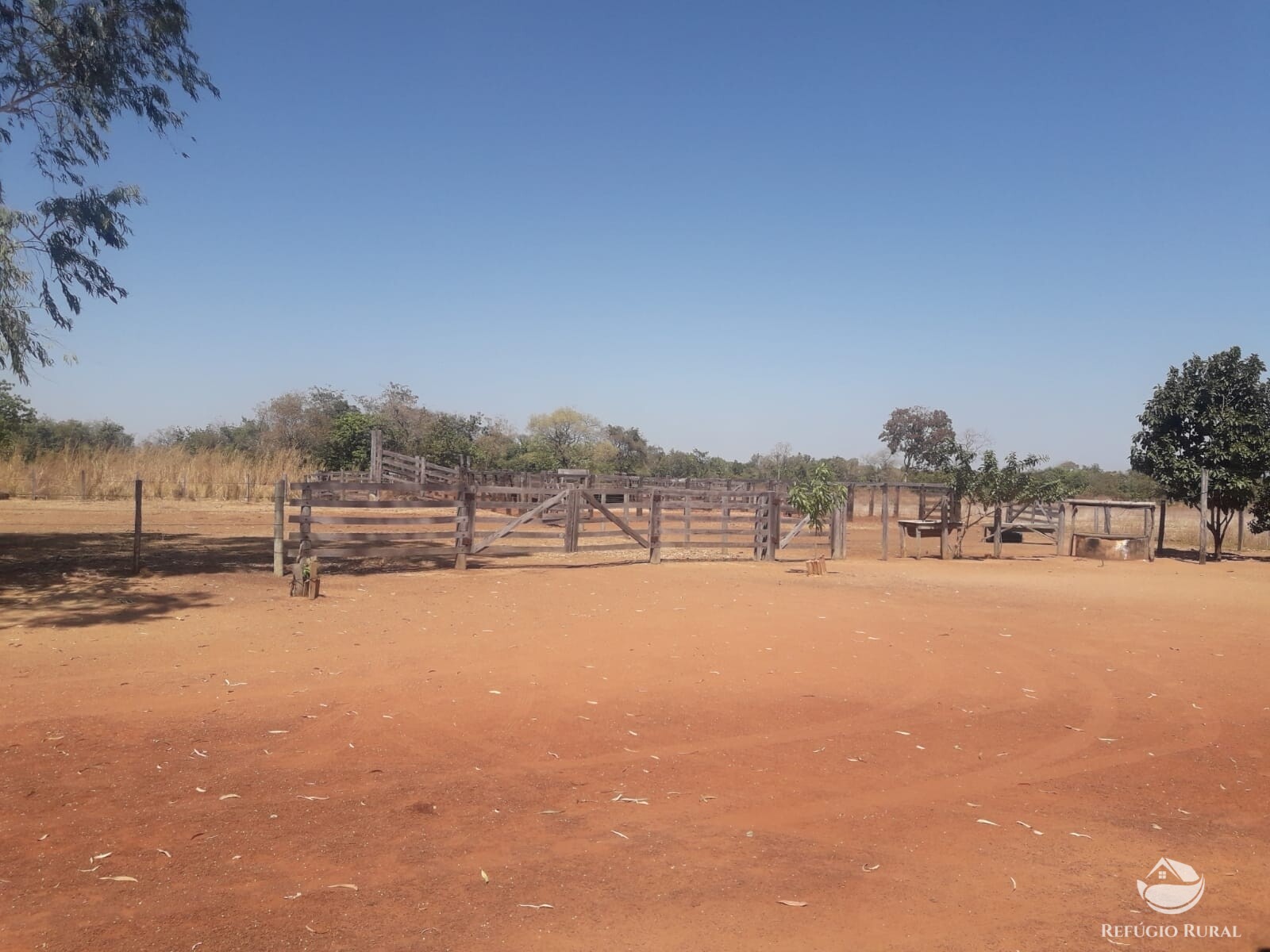 Fazenda de 515 ha em Alvorada, TO