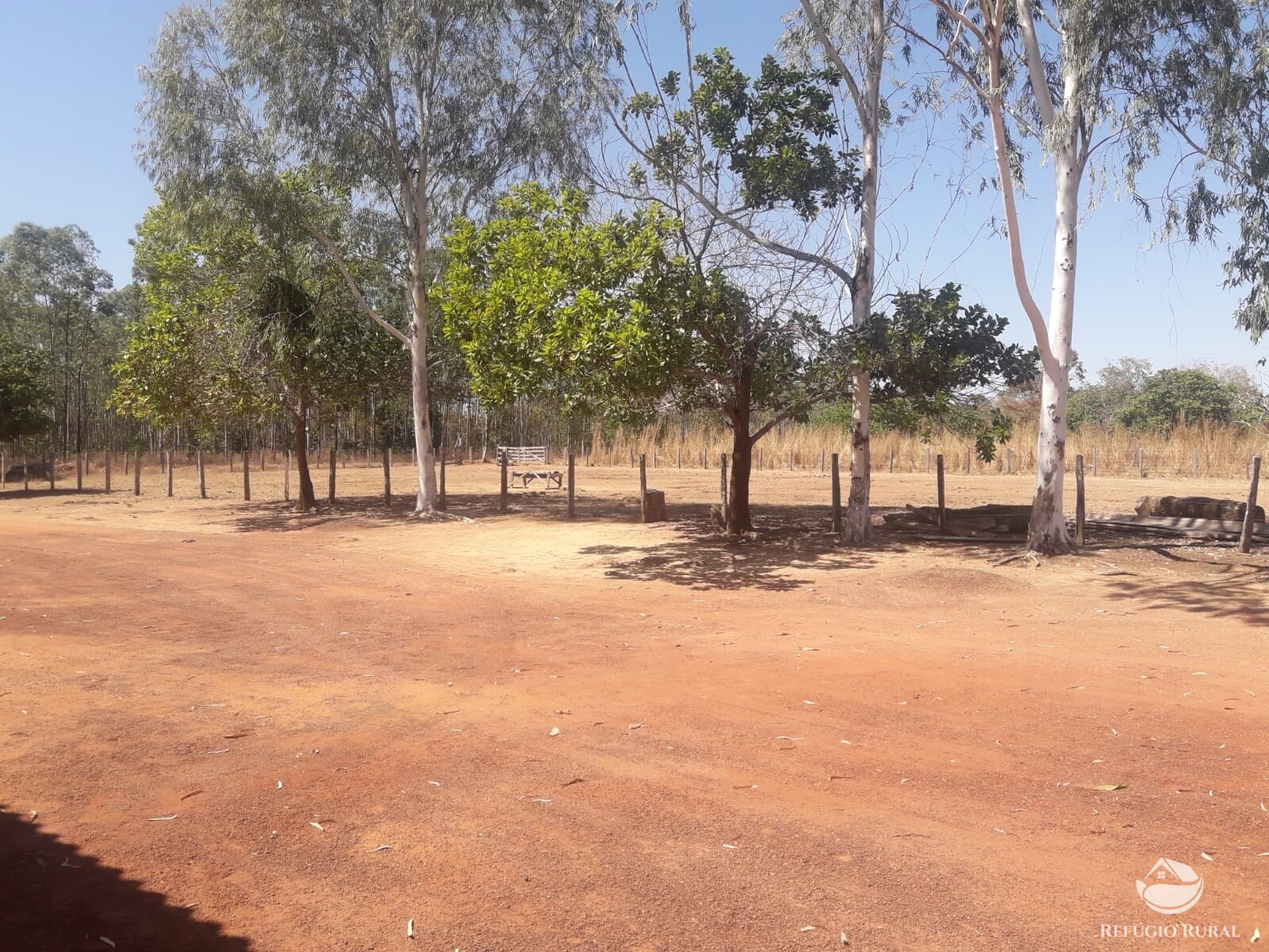 Fazenda de 515 ha em Alvorada, TO