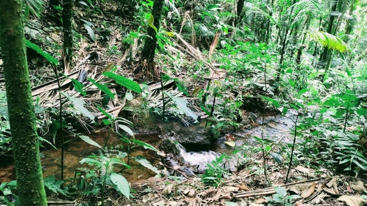 Terreno de 3 ha em Monteiro Lobato, SP