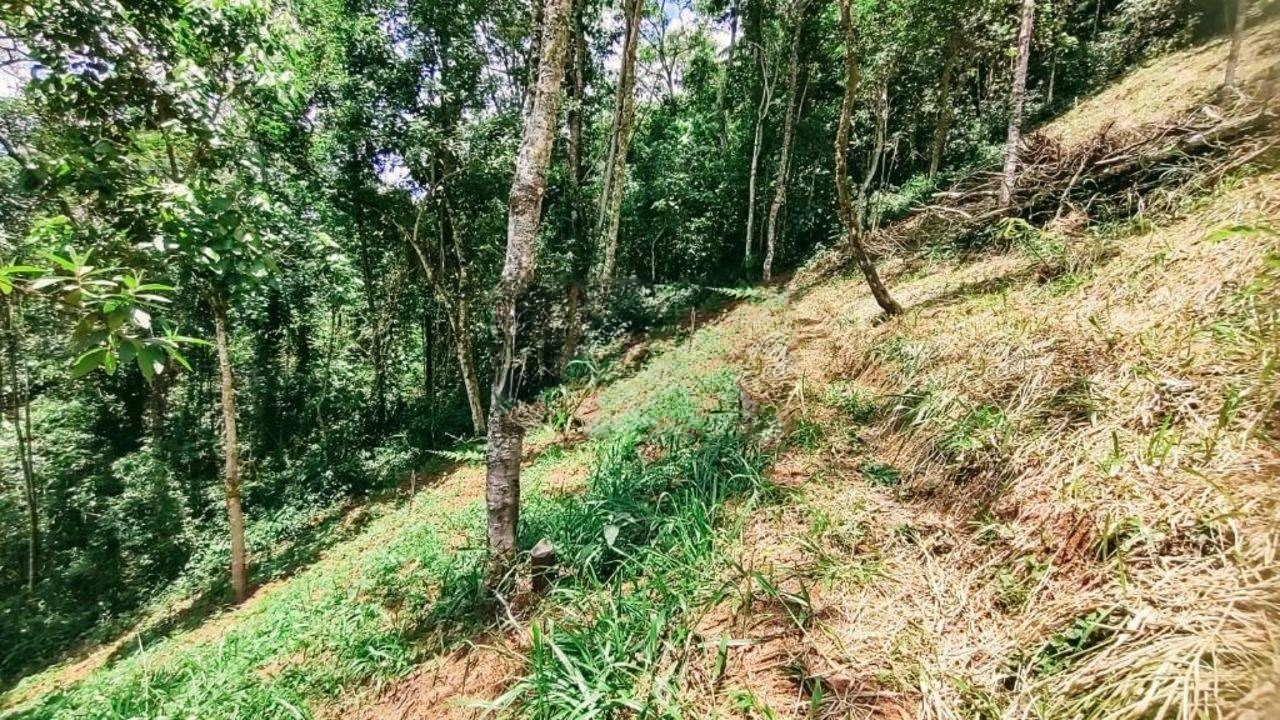 Terreno de 3 ha em Monteiro Lobato, SP