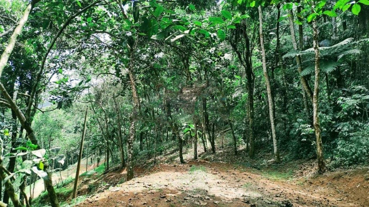 Terreno de 3 ha em Monteiro Lobato, SP