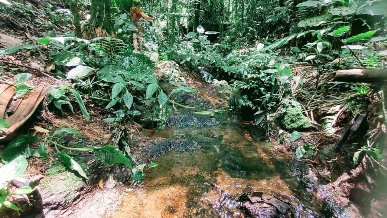 Terreno de 3 ha em Monteiro Lobato, SP