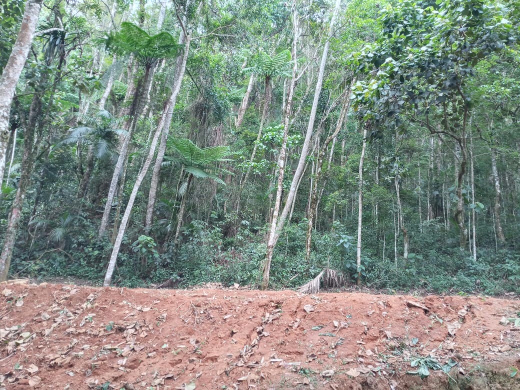 Terreno de 3 ha em Monteiro Lobato, SP