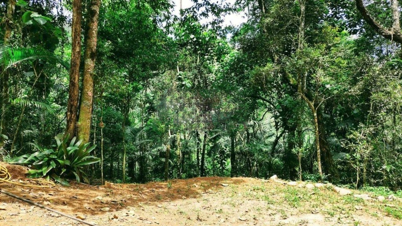 Terreno de 3 ha em Monteiro Lobato, SP