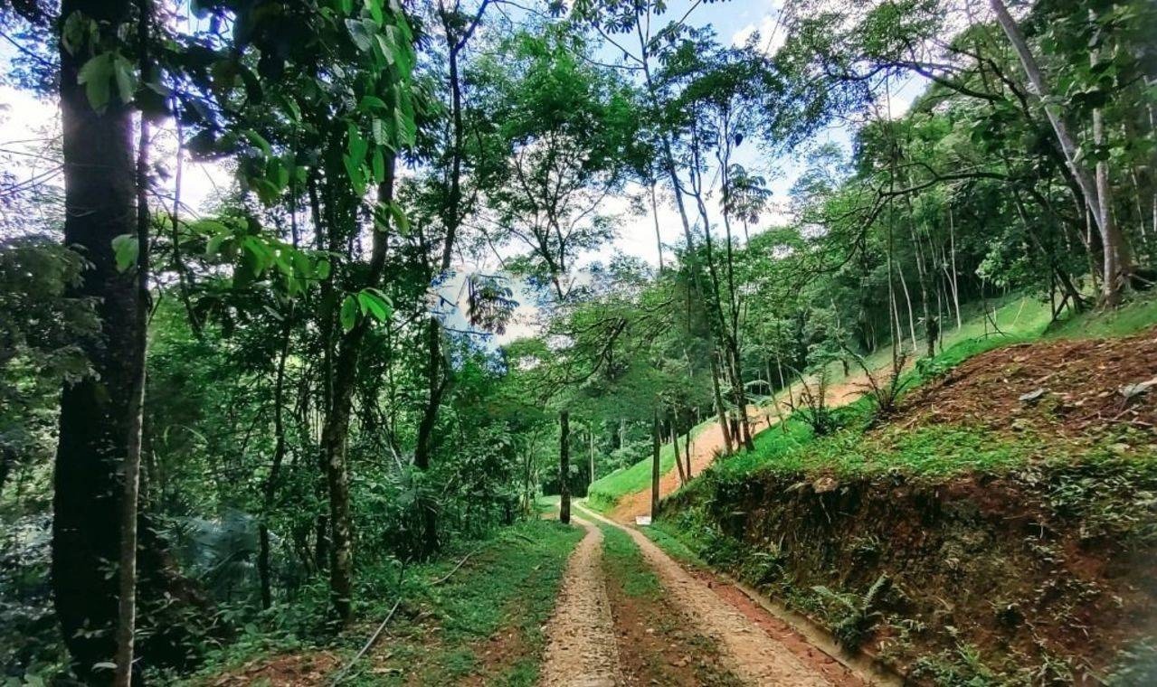 Terreno de 3 ha em Monteiro Lobato, SP