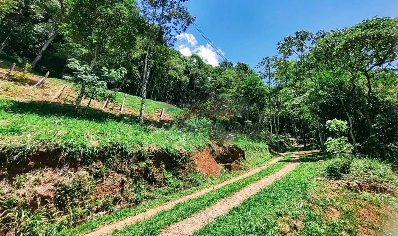 Terreno de 3 ha em Monteiro Lobato, SP