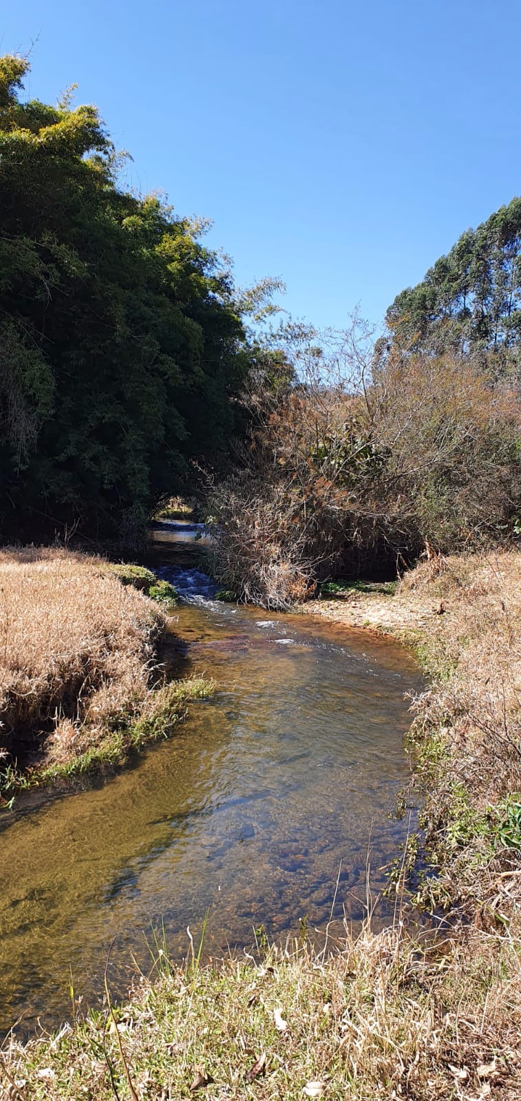 Chácara de 1.500 m² em Sapucaí-Mirim, MG