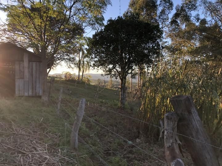 Sítio de 2 ha em Santo Antônio da Patrulha, RS