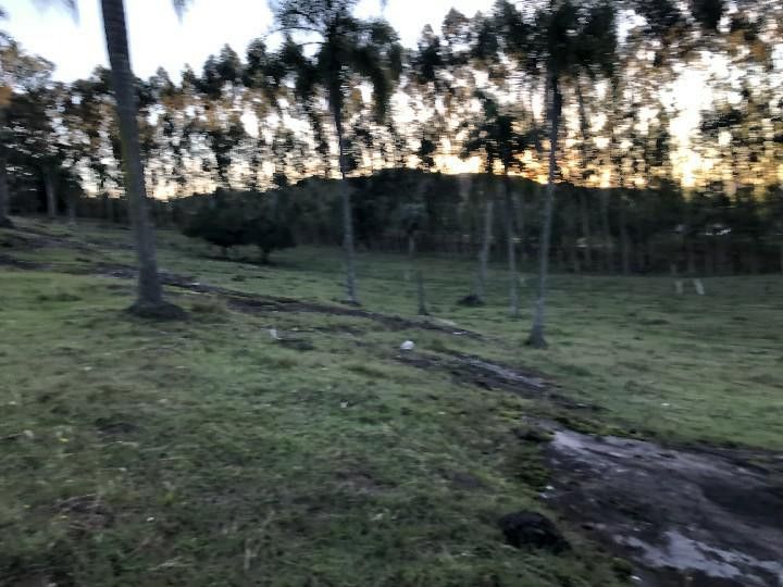 Sítio de 2 ha em Santo Antônio da Patrulha, RS