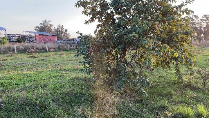 Chácara de 4.800 m² em Santo Antônio da Patrulha, RS