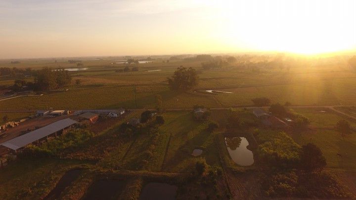 Chácara de 4.800 m² em Santo Antônio da Patrulha, RS