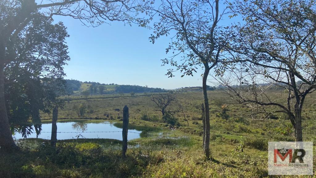 Sítio de 48 ha em Pouso Alegre, MG