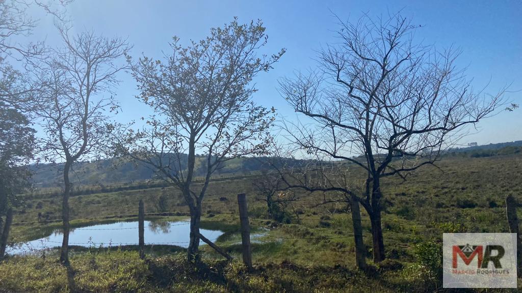 Sítio de 48 ha em Pouso Alegre, MG