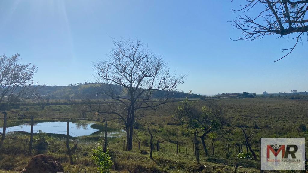 Sítio de 48 ha em Pouso Alegre, MG