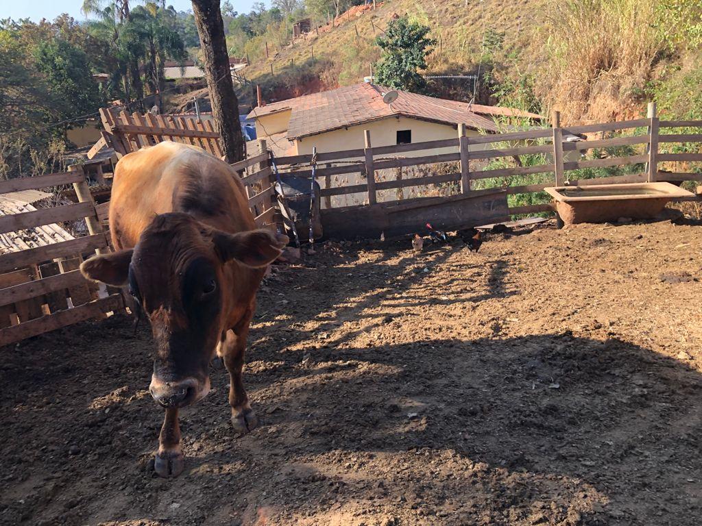 Sítio de 3 ha em Pouso Alegre, MG