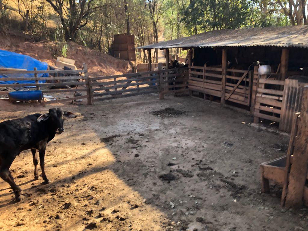 Sítio de 3 ha em Pouso Alegre, MG