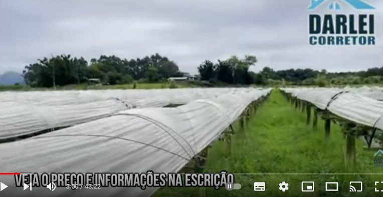 Chácara de 6 ha em Dom Pedro de Alcântara, RS