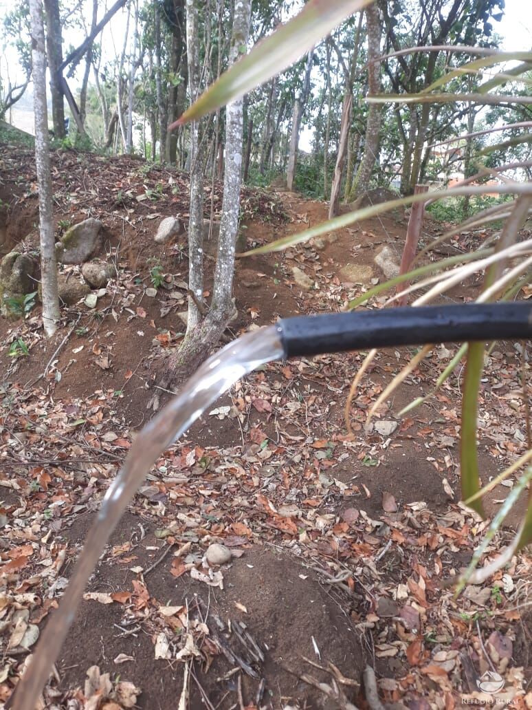 Sítio de 3 ha em Monteiro Lobato, SP