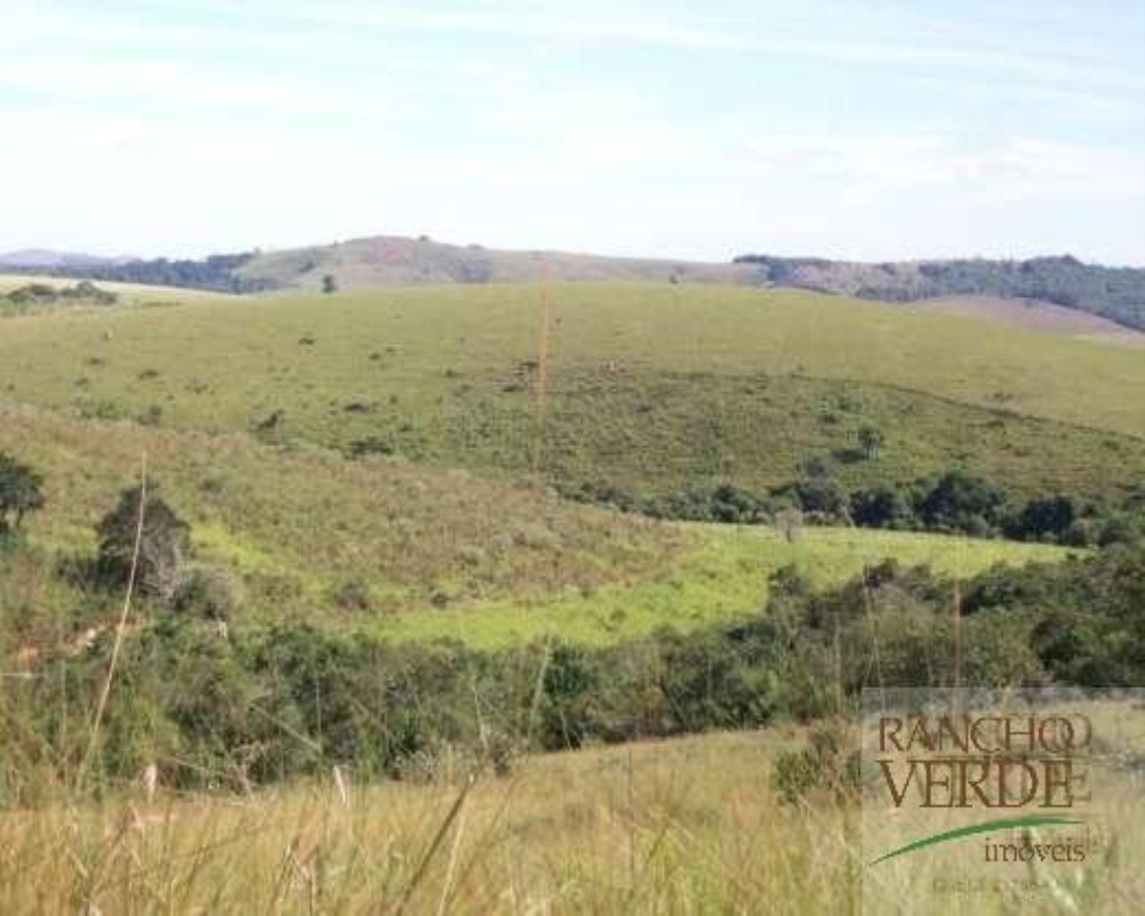 Fazenda de 306 ha em Andrelândia, MG